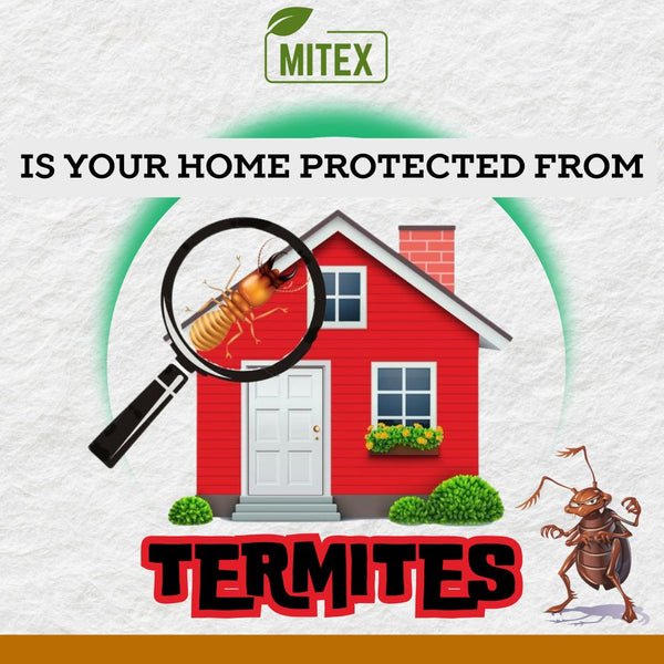 Termite Killer Spray Buy 1 Get 3